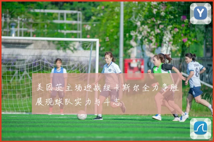 美因茨主场迎战纽卡斯尔全力争胜展现球队实力与斗志