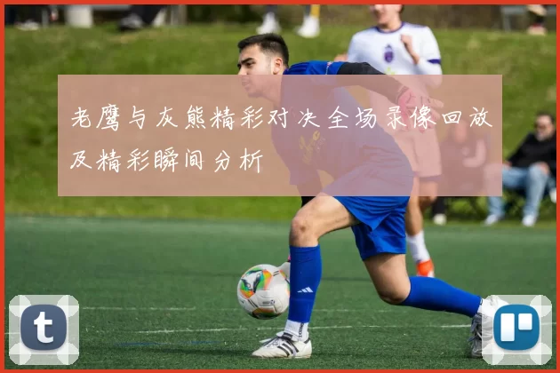 老鹰与灰熊精彩对决全场录像回放及精彩瞬间分析