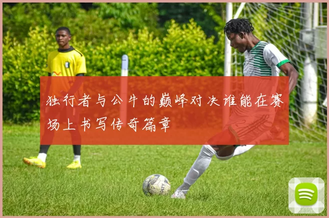 独行者与公牛的巅峰对决谁能在赛场上书写传奇篇章
